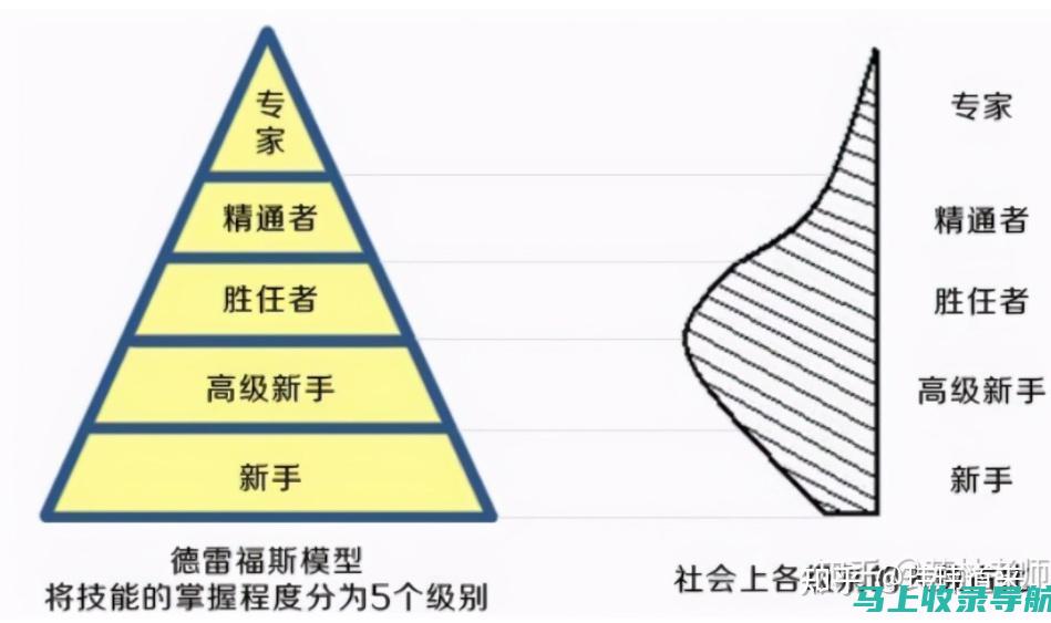 从新手到专家：网站SEO推广平台的实战教程