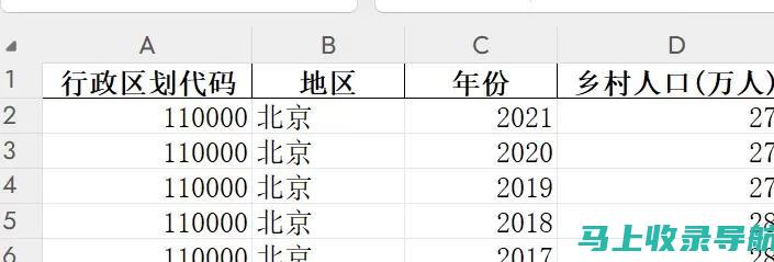 乡村发展的数据见证者——乡镇统计站长述职报告详析